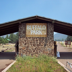 Buffalo Park